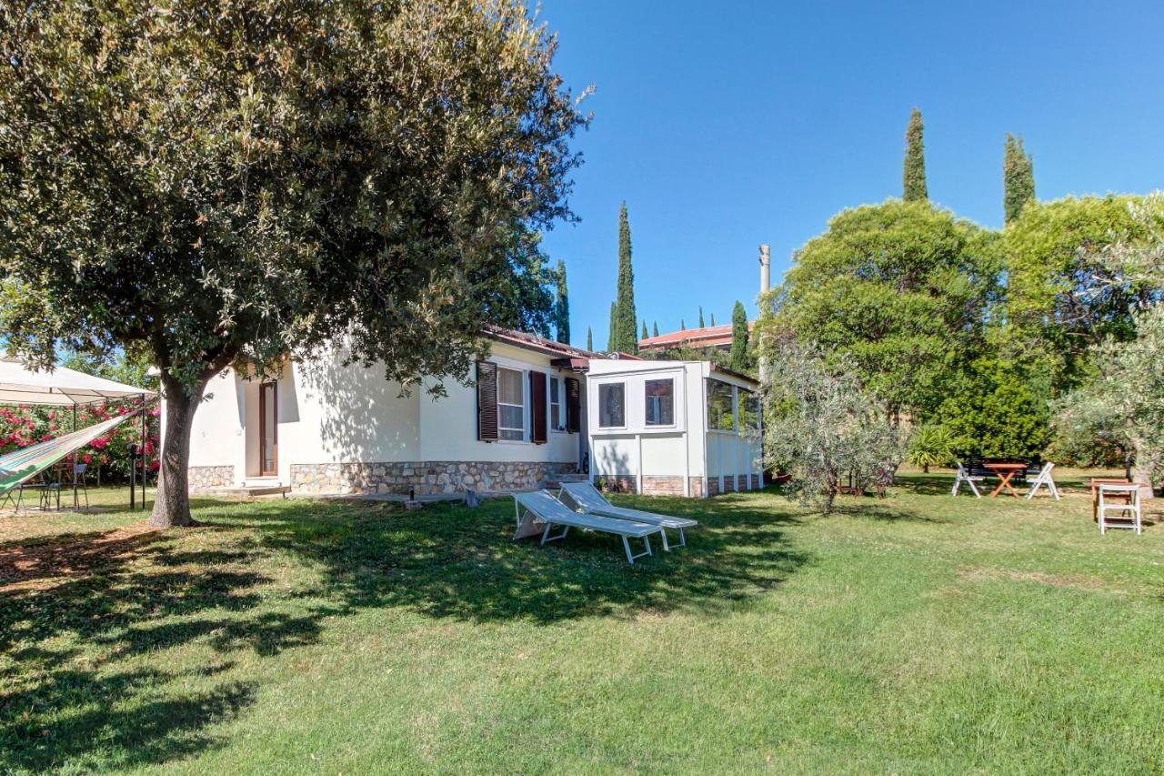 Bed & Breakfast Artemisia Negli Ulivi 3*