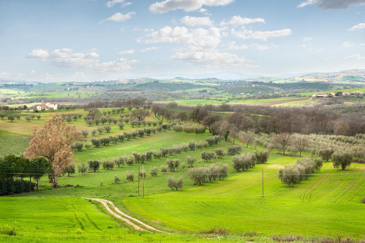 Bed & Breakfast Artemisia Negli Ulivi 3*