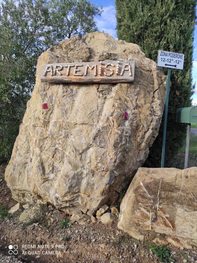 Artemisia Negli Ulivi Bed & Breakfast Magliano in Toscana