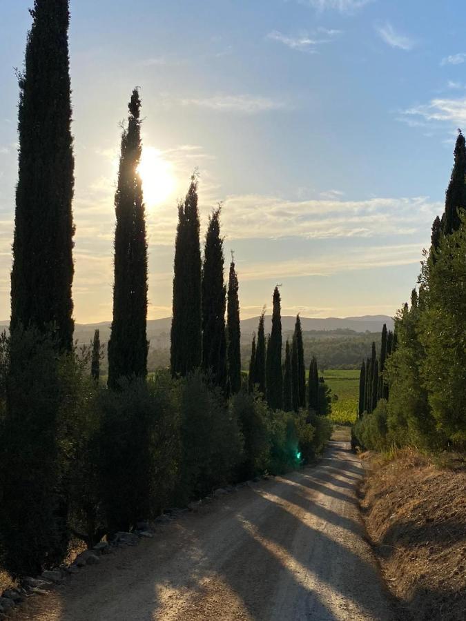 Artemisia Negli Ulivi Bed & Breakfast