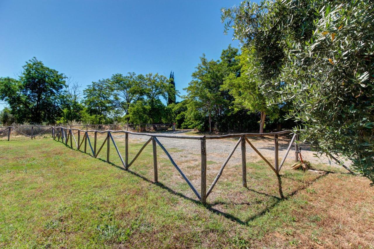 Artemisia Negli Ulivi Bed & Breakfast Magliano in Toscana