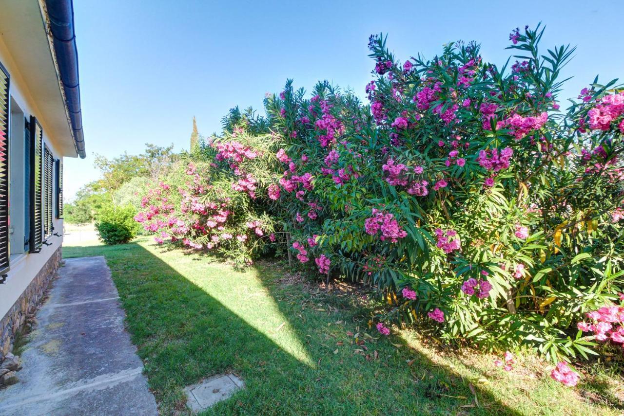 Bed & Breakfast Artemisia Negli Ulivi